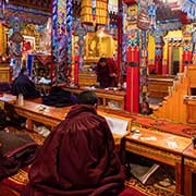 Morning prayers, Rongbuk Monastery