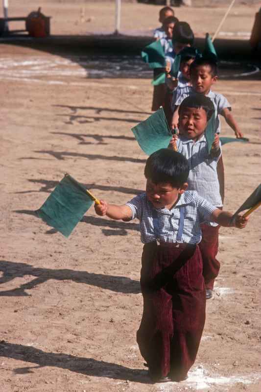 Boys with green flags