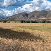 Farmers fields near Gyantse