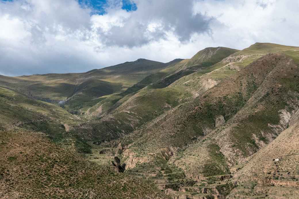 Terraces along the road