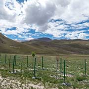 Between Lhasa and Gyantse