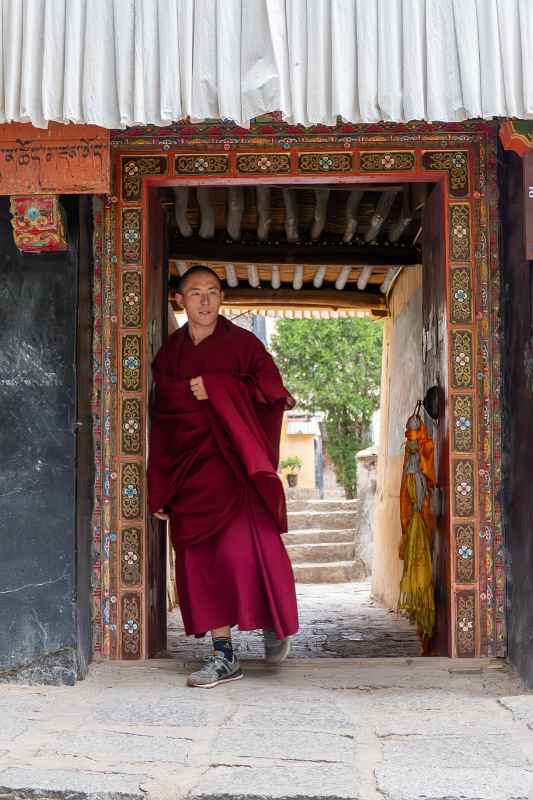 A monk, Sera Monastery