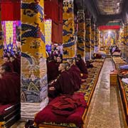 At a monks' examination, Sera Monastery