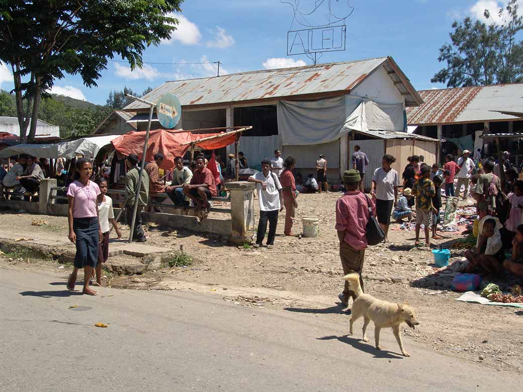 Aileu market