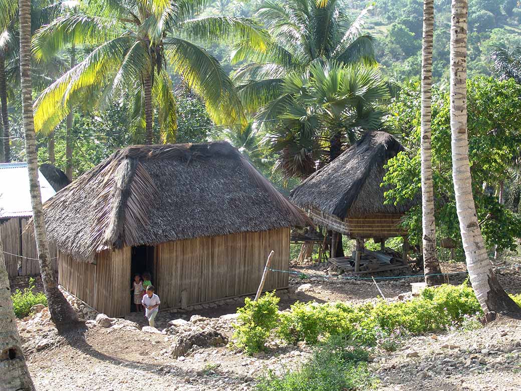 Houses near Tutuala