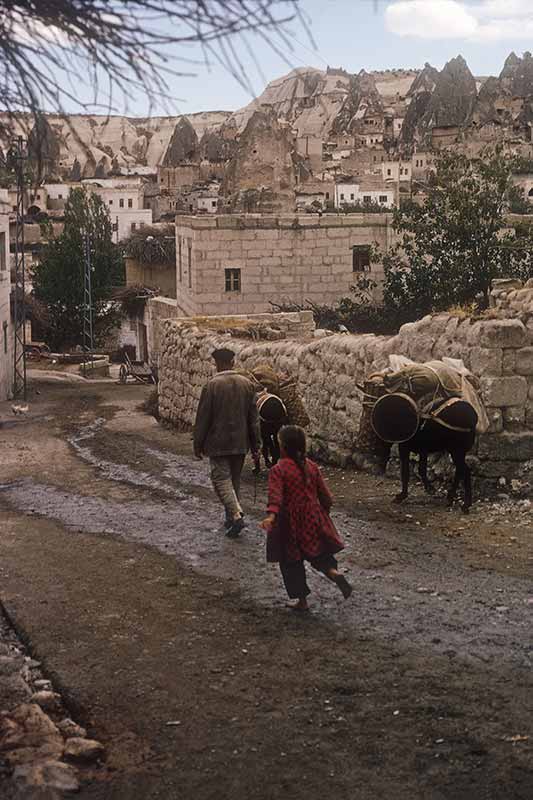 Donkeys driven in Göreme