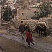 Donkeys driven in Göreme