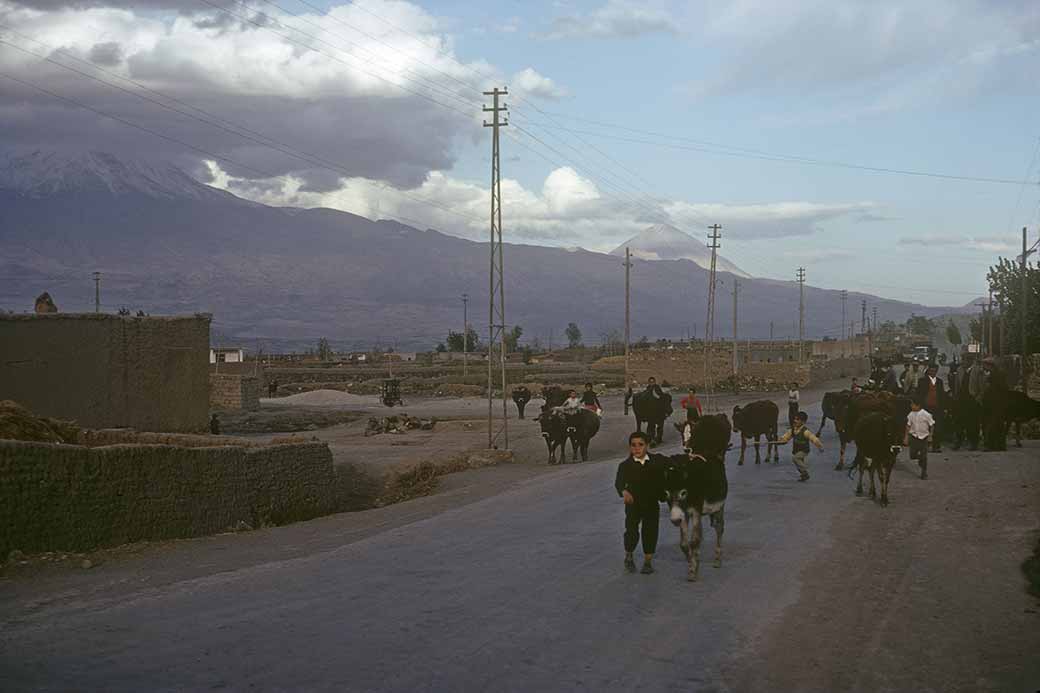 Main road from Doğubayazıt