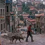 Taksim Caddesi