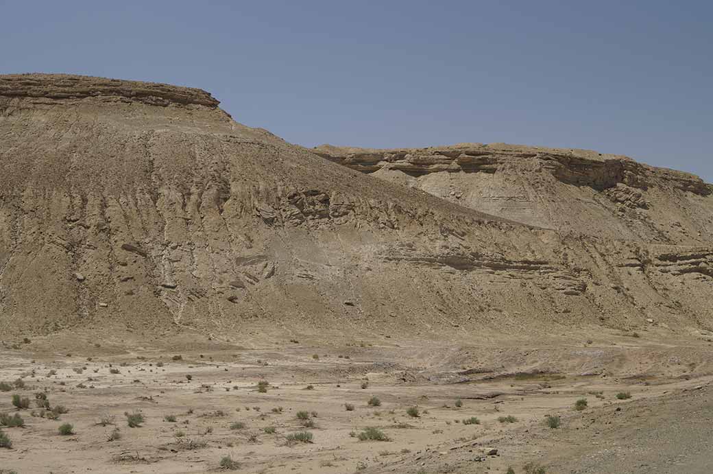 Along the Amu Darya Delta