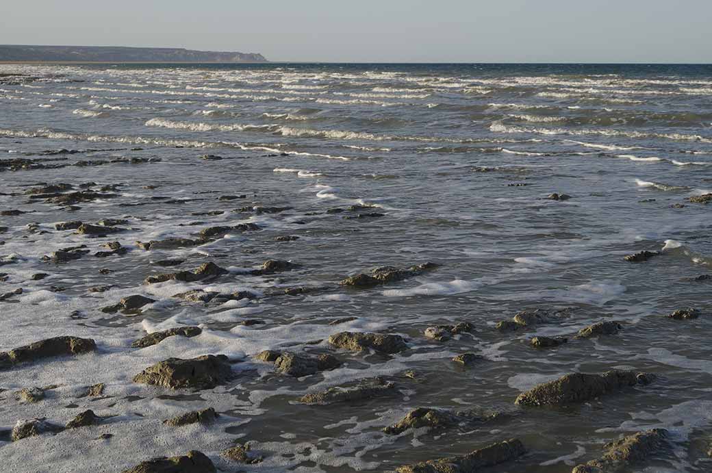 Aral Sea shore