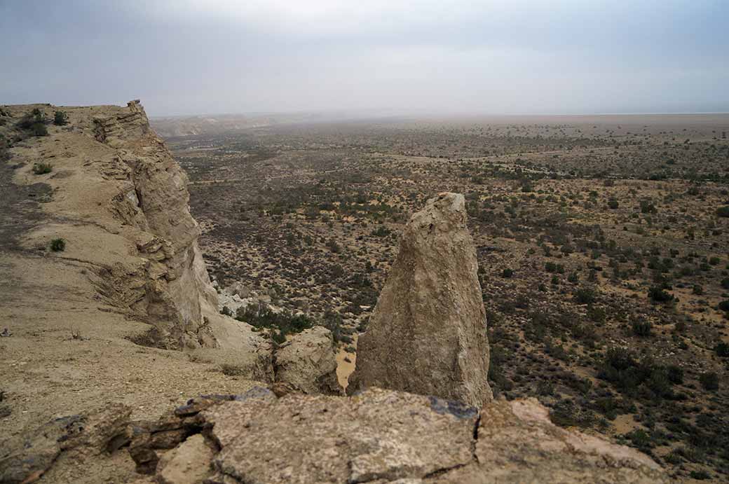 View to the Aral Sea