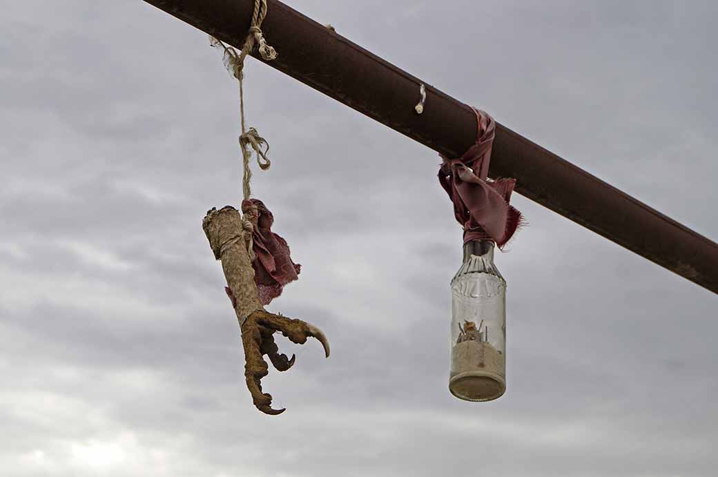 Bird clay and bottle