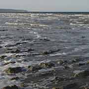 Aral Sea shore