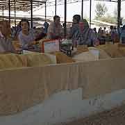 Selling carrots, Qumtepa bazaar