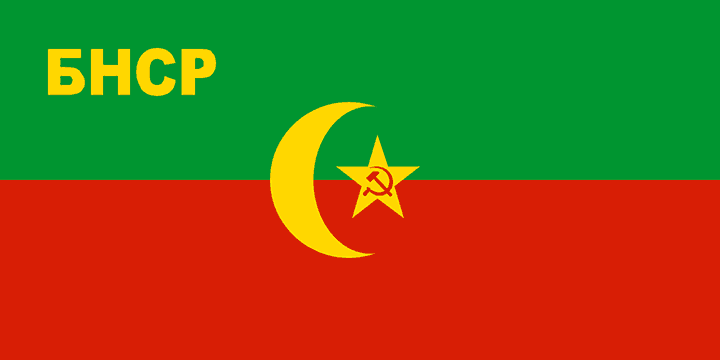 Bukharan People's Soviet Republic, 1921