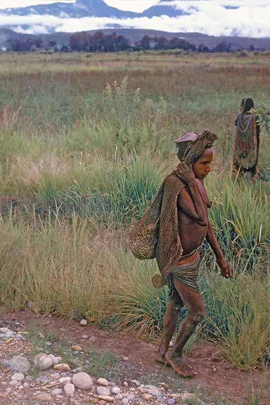 Carrying vegetables