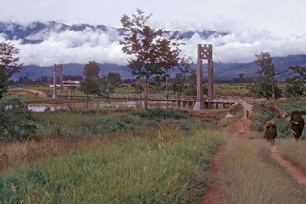 Bridge over the Baliem