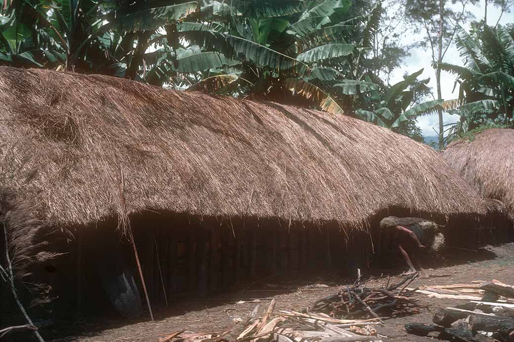 Longhouse, Aikima