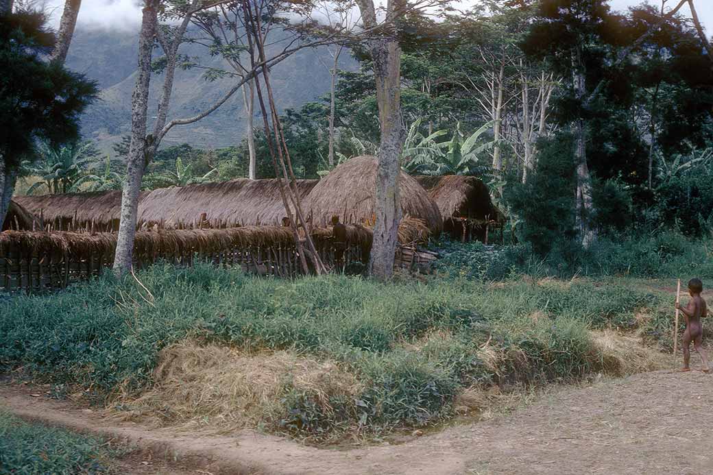 Houses of Minimo