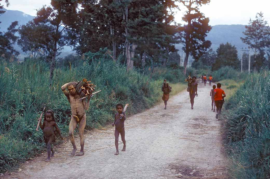 Wamena-Napua road