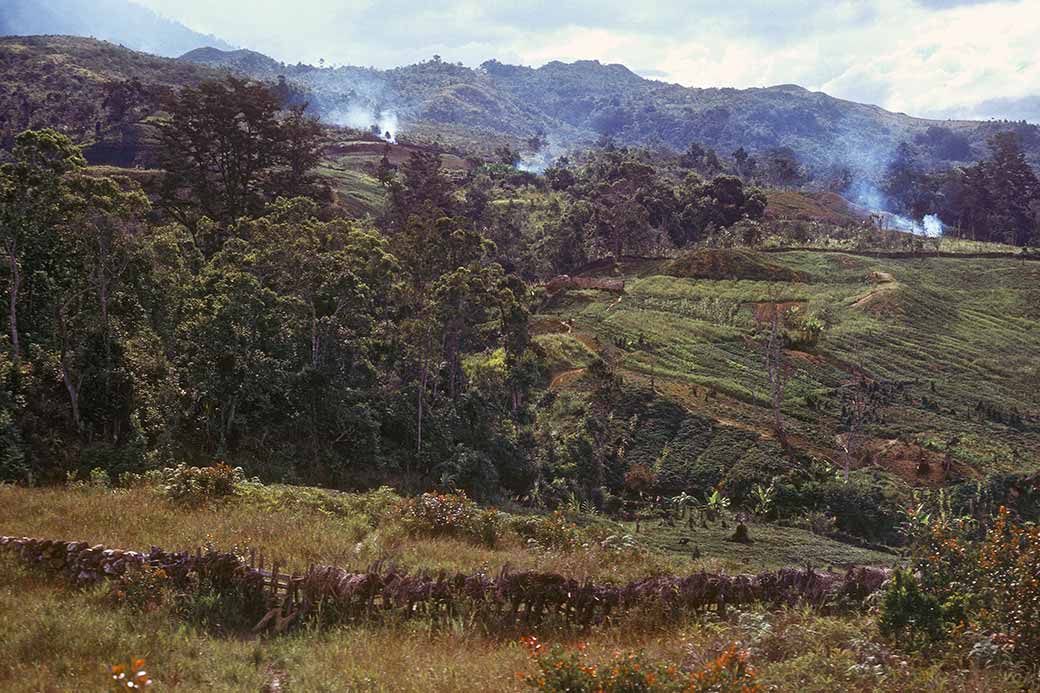 Wakatu to Napua