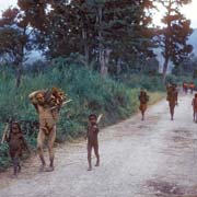 Wamena-Napua road