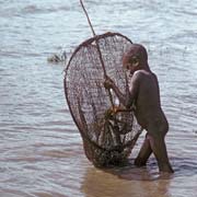 Catching shrimps