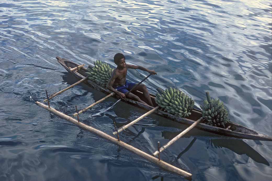 Bananas in canoe