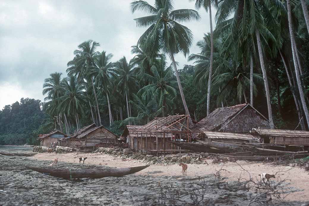 Coast of Kaimana