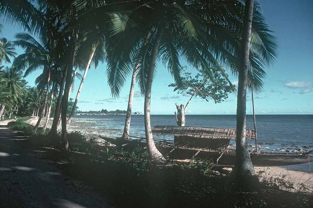 Bay of Kaimana