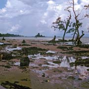 Sorong coast