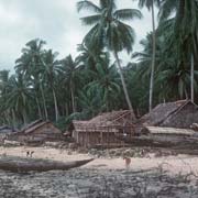 Coast of Kaimana