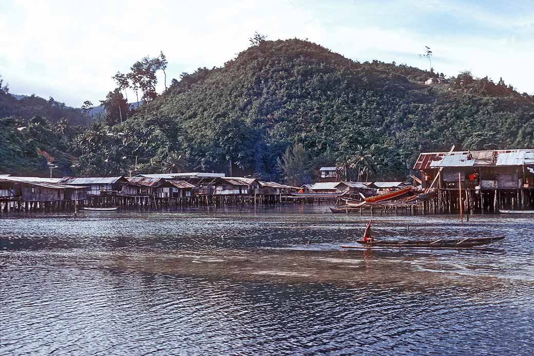 Houses on stilts