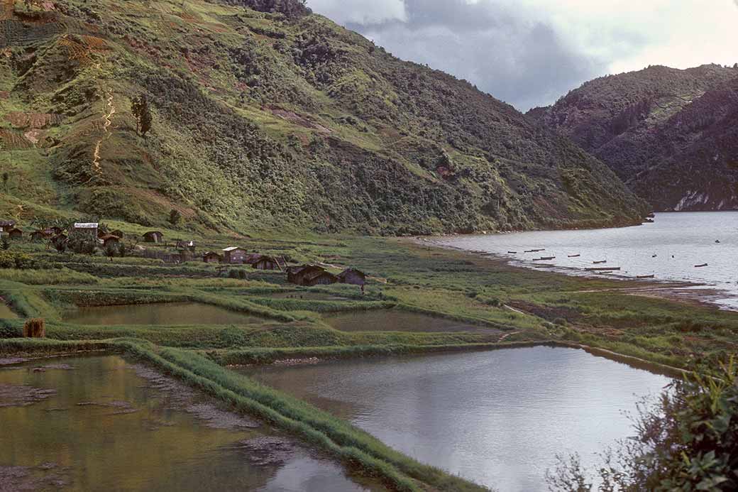 Fishing ponds, Paniai