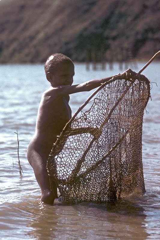 Catching shrimps