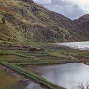 Fishing ponds, Paniai