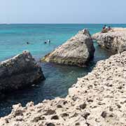 Coral coast, Aruba