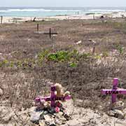 Graveyard for pets, Aruba