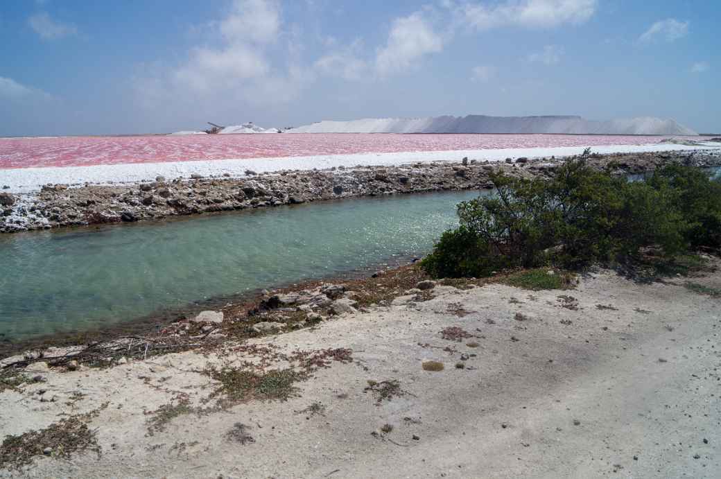 Solar Salt Works, Bonaire