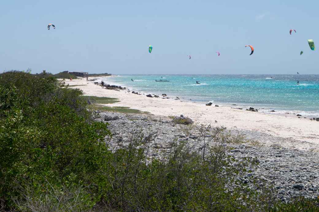 Wind surfers, Bonaire