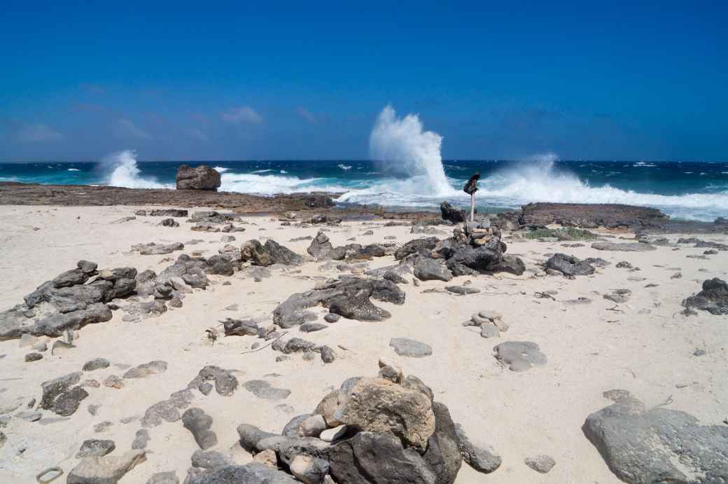 Flat coral shore, Bonaire