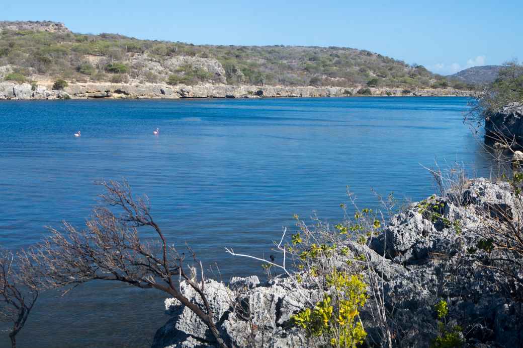 Channel, Goto Meer, Bonaire