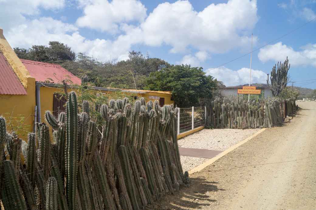 House in Rincón, Bonaire