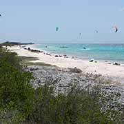 Wind surfers, Bonaire