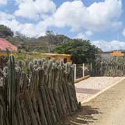 House in Rincón, Bonaire