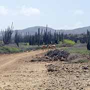 Track along the east coast, Bonaire