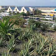 Curaçao International Airport