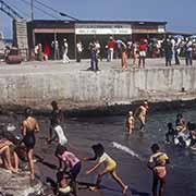 Swimming in the harbour