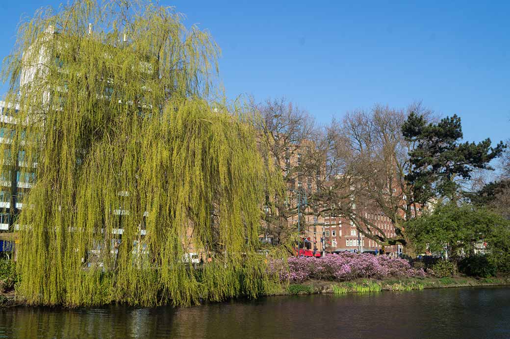 Along the Singelgracht